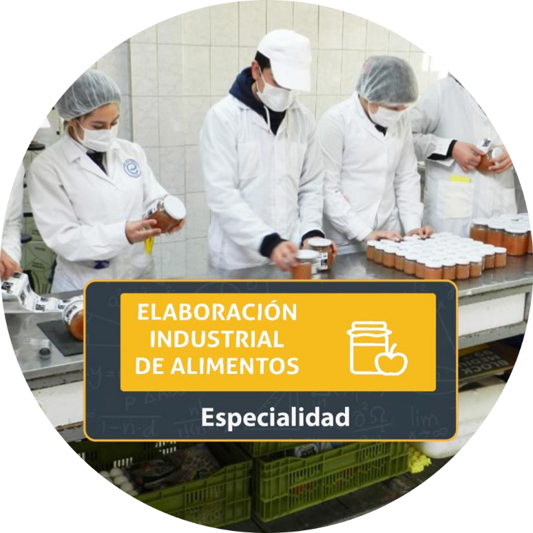 elaboracion industrial de alimentos